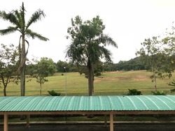 Woodgrove Condominium (D25), Condominium #167181072